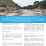 July - Sep 2025-Newsletter-English